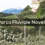 Cosa fare in Trentino: Parco Fluviale Novella