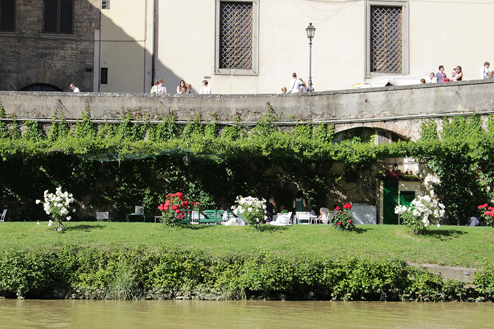 in riva all'Arno (Firenze)