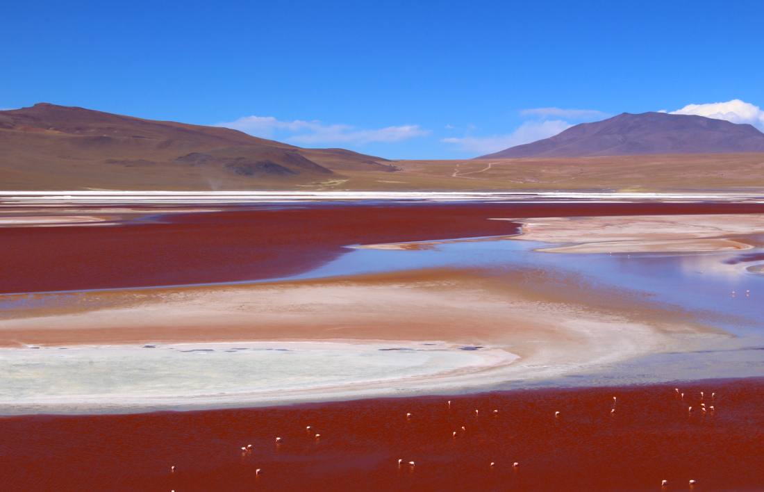 viaggi in Bolivia: laguna colorada