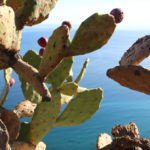 Weekend in Sicilia: cosa vedere e info pratiche