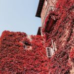 Autunno in Toscana: qualche idea e tante foto