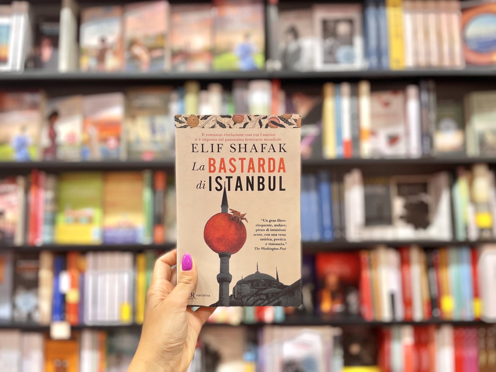 Libri turchia bastarda di Istanbul