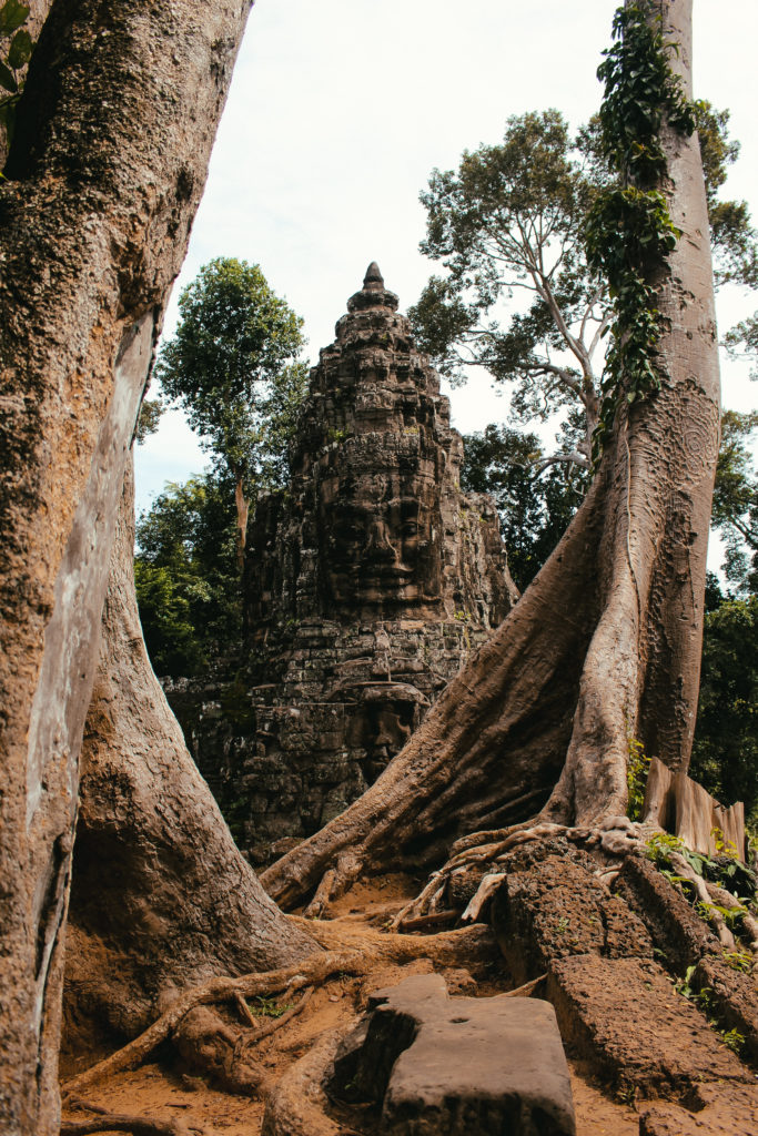 cosa vedere angkor