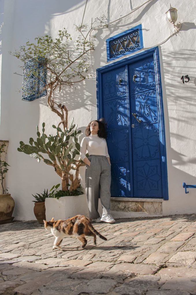 tunisia da vedere