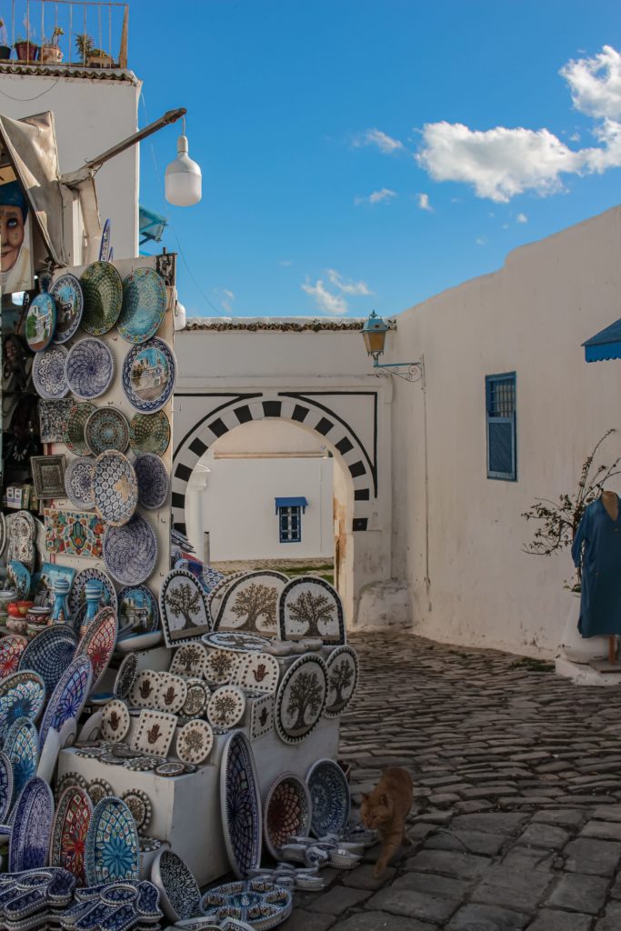 visitare sidi bou said